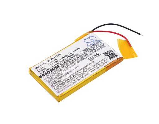 CS-FE170SL Cameron Sino Battery